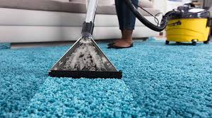 Professional Carpet Cleaning: Transform Your Home with Premier Cleaning